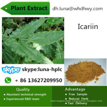 98% Skin Whitening Natural Ligustrum Extract Oleanolic Acid Oleanolic